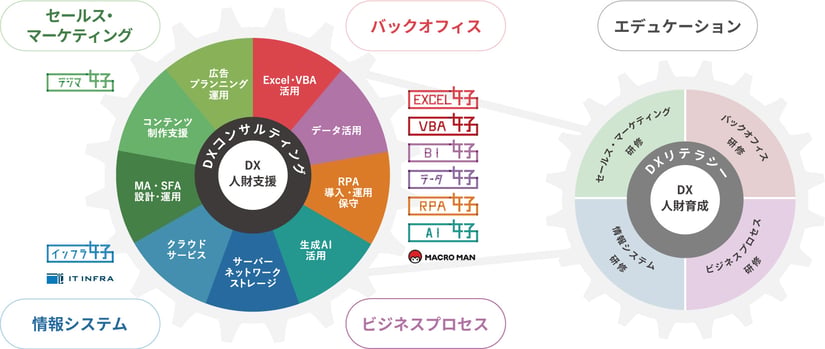 新コクー